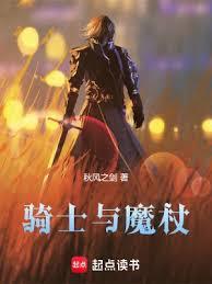 骑士与魔杖百度小说