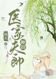 医家夫郎时代背景
