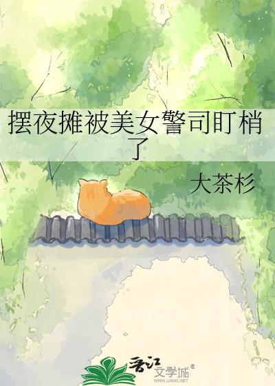 摆夜摊被美女警司盯梢了
