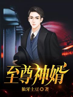 至尊神婿 小说