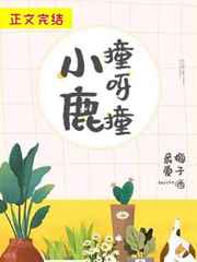 小鹿撞心上免费阅读